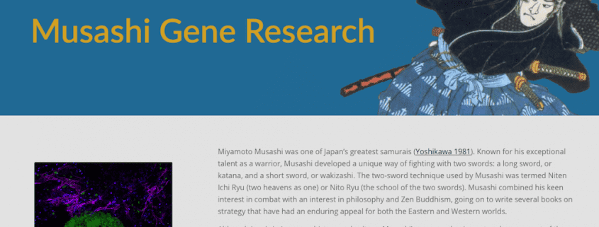 Musashi Gene Research